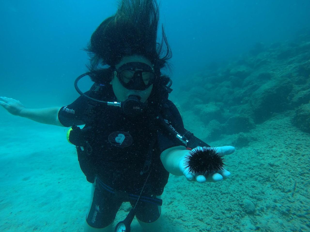 Discovery scuba
