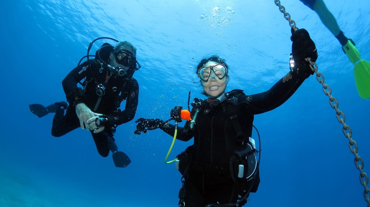 PADI open water certification