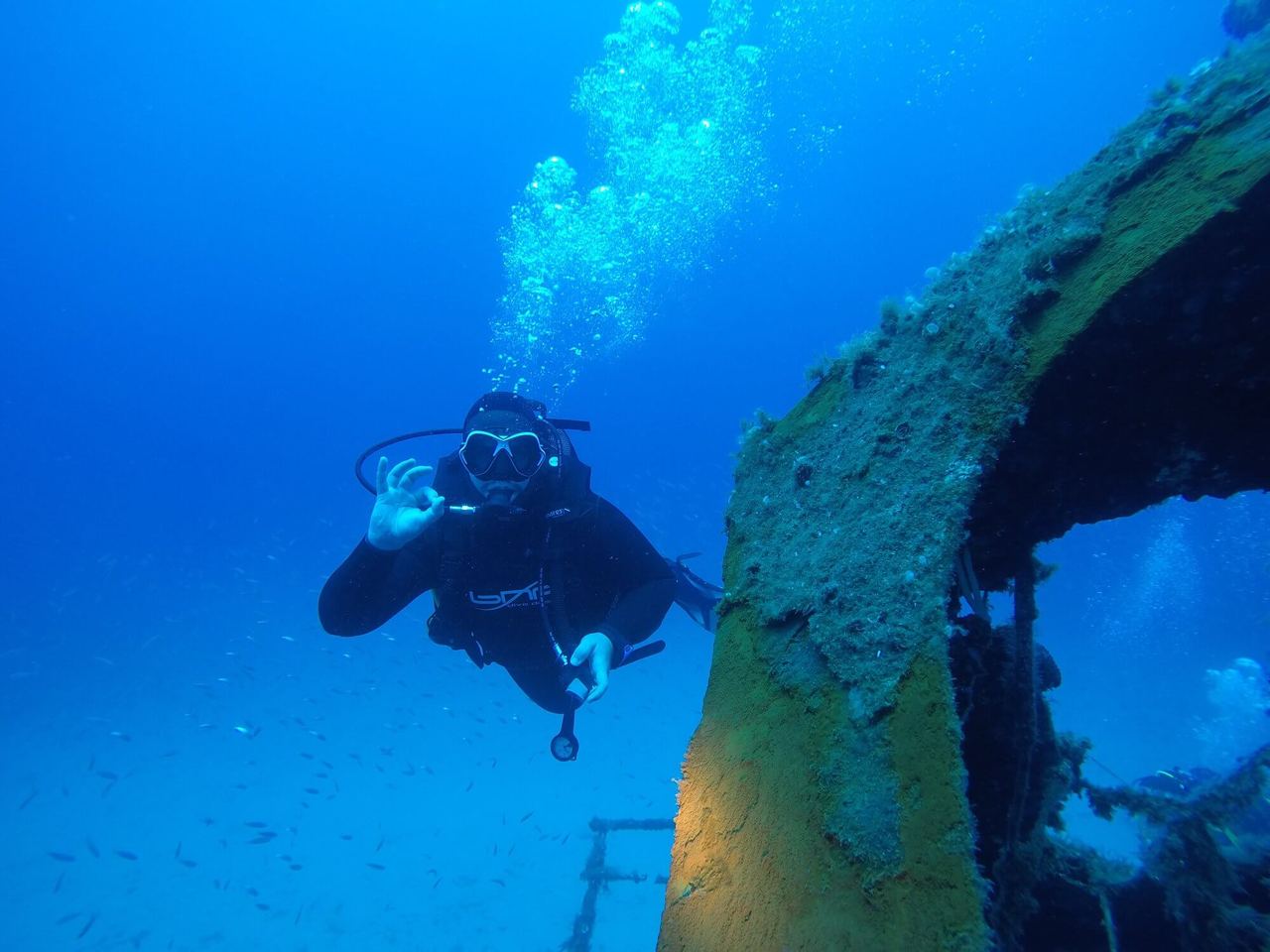 PADI Scuba Diver